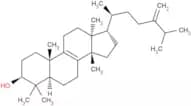 Euphorbadienol