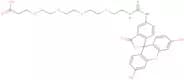 Fluorescein-PEG4-acid