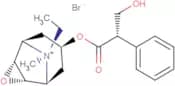Oxitropium Bromide