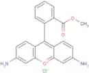 Rhodamine 123