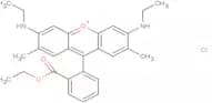 Rhodamine 6G
