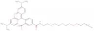 TAMRA-PEG3-Azide
