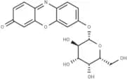 resorufin galactopyranoside