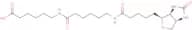Biotin-C5-amino-C5-amino