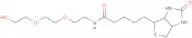 Biotin-PEG3-OH