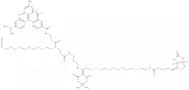 Biotin-PEG4-Dde-TAMRA-PEG3-Azide