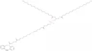DSPE-PEG4-DBCO