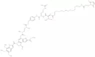 Mal-PEG4-VC-PAB-DMEA-Seco-Duocarmycin SA