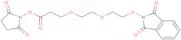 NHPI-PEG2-C2-NHS ester