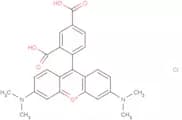 5-TAMRA chloride(91809-66-4 free base)