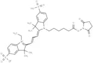 Sulfo-Cy3 NHS ester