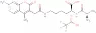 D-Ala-Lys-AMCA TFA (375822-19-8 free base)