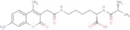 D-Ala-Lys-AMCA