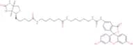 Fluorescein Biotin