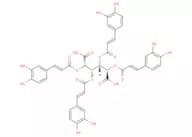 2,3,4,5-Tetracaffeoyl-D-Glucaric acid