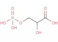 3-Phosphoglyceric acid