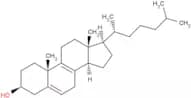 8-Dehydrocholesterol