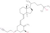 Calcitriol Derivatives