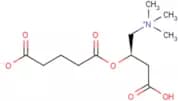 Glutarylcarnitine