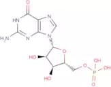 5'-Guanylic acid