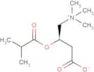 Isobutyryl-L-carnitine