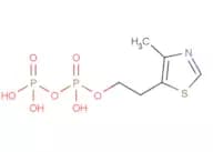 Thiamine diphosphate analog 1