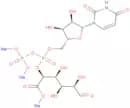 UDP-glucuronic acid trisodium