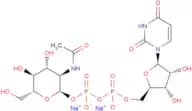 UDP-GlcNAc Disodium Salt