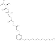 LysoPalloT-NH-amide-C3-ph-m-O-C11
