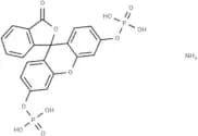 Fluorescein diphosphate tetraammonium