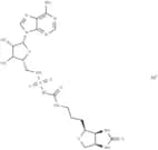 Biotin protein ligase-IN-1