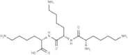 Lysyllysyllysine
