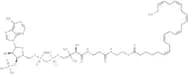 (6Z,9Z,12Z,15Z,18Z,21Z)-Tetracosahexaenoyl-CoA