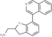 Rho GTPase inhibitor 1