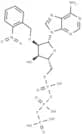 2'-(2-Nitrobenzyl)-ATP