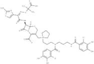 Antibacterial agent 285