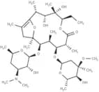 Erythromycin A enol ether