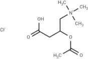(±)-Acetylcarnitine chloride