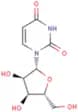Uridine