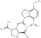 MNI caged kainic acid