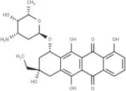 13-Deoxycarminomycin