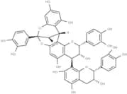 Cinnamtannin B-1