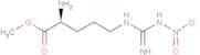 NG-Nitroarginine methyl ester