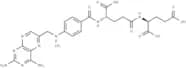 Methotrexate Diglutamate