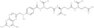 Methotrexate Triglutamate
