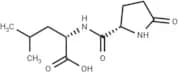 Pyroglutamylleucine