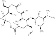 Rosaramicin