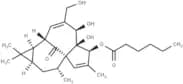 Ingenol 3-Hexanoate