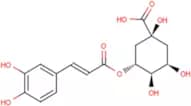 Chlorogenic Acid