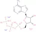 ATP disodium salt hydrate